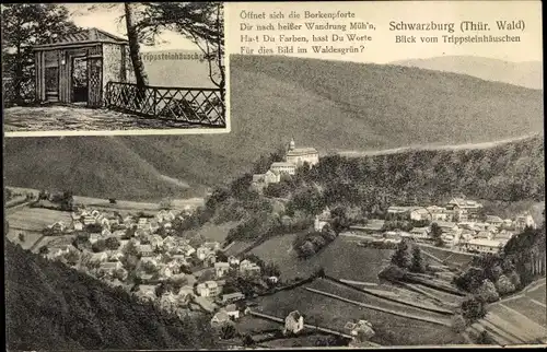 Ak Schwarzburg Thüringer Wald, Blick vom Trippsteinhäuschen, Panorama