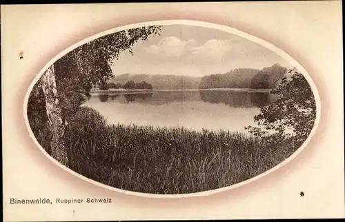 Ak Binenwalde Gühlen Glienicke Neuruppin in Brandenburg, See, Landschaftsmotiv