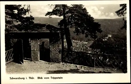 Ak Schwarzburg in Thüringen, Blick vom Trippstein