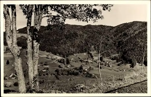 Ak  Hintertodtmoos Todtmoos im Hochschwarzwald, Panorama