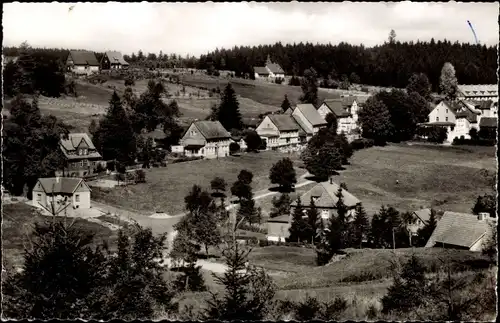 Ak Hahnenklee Bockswiese Goslar im Harz, Blick auf Bockswiese