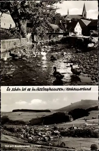 Ak Assinghausen Olsberg im Sauerland, Brückenpartie, Enten, Panorama vom Ort m. Bruchhauser Steinen