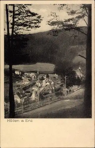 Ak Höfen an der Enz Schwarzwald, Panorama
