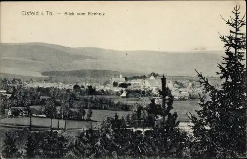 Ak Eisfeld in Thüringen, Gesamtansicht, Blick vom Eichholz