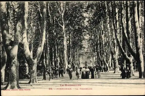 Ak Perpignan Pyrénées Orientales, La Promenade