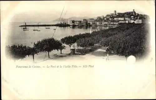 Ak Cannes Alpes Maritimes, Panorama de Cannes, Le Port et la Vieille Ville