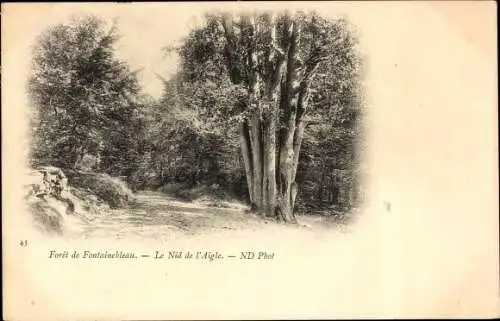 Ak Fontainebleau Seine et Marne, Foret de Fontainebleau, Le Nid de l'Aigle