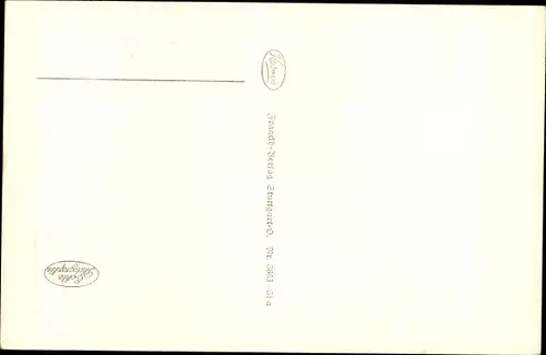 Ak Miltenberg am Main Unterfranken, Schnatterloch, Fachwerkhäuser