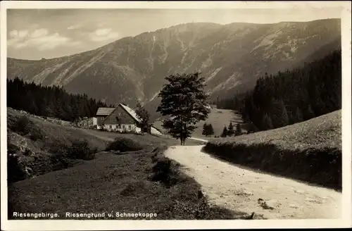 Ak Pec pod Sněžkou Petzer Riesengebirge Reg Königgratz, Riesengrund, Obří důl, Schneekoppe