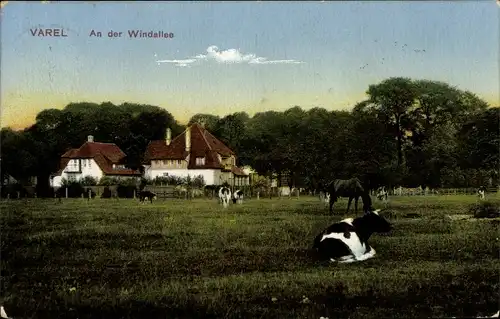 Ak Varel in Oldenburg Jadebusen, An der Windallee