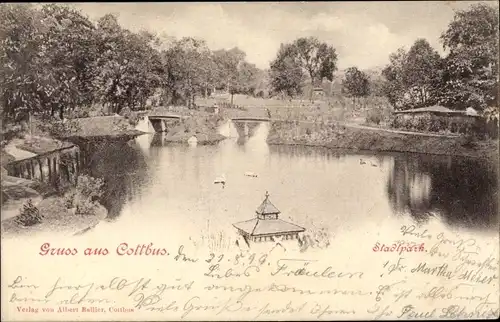 Ak Cottbus in der Niederlausitz, Stadtpark