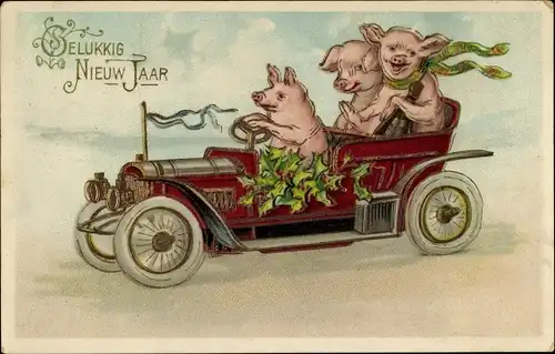 Präge Litho Glückwunsch Neujahr, Schweine im Automobil, Stechpalmenzweige