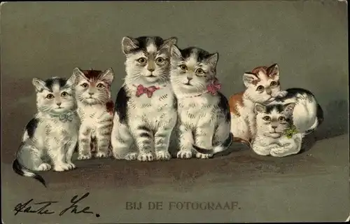 Präge Litho Bij de Fotograaf, Katzenfamilie