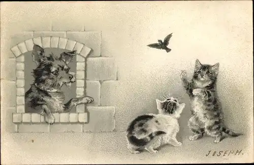 Litho Katzen, Hund schaut aus dem Fenster