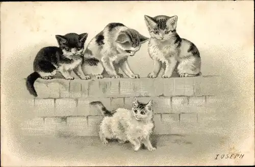 Präge Litho Katzen auf und vor einer Mauer