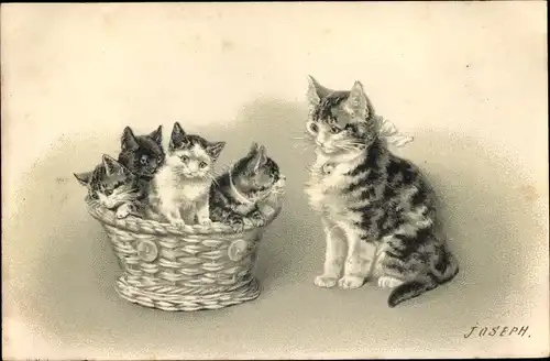 Litho Katzenkinder im Korb, Katzenmutter