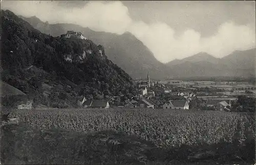 Ak Vaduz Liechtenstein, Blick auf den Ort, Reintal