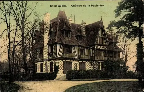 Ak La Ferté Saint Aubin Loiret, Chateau de la Pepinière