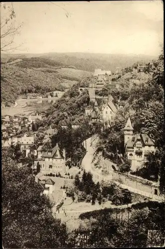 Ak Heidelberg am Neckar, Blick auf den Graimbergweg
