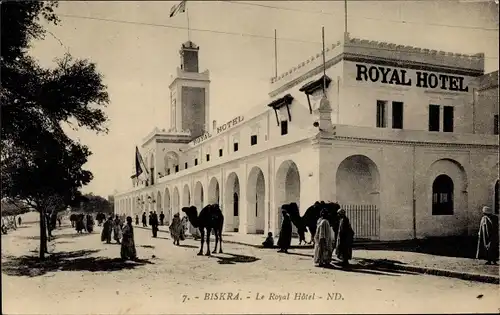 Ak Biskra Algerien, Le Royal Hôtel, Straßenpartie, Kamele