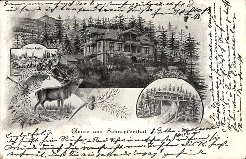 Litho Schnepfenthal Waltershausen in Thüringen, Gasthof, Hirsch, Erziehungsanstalt