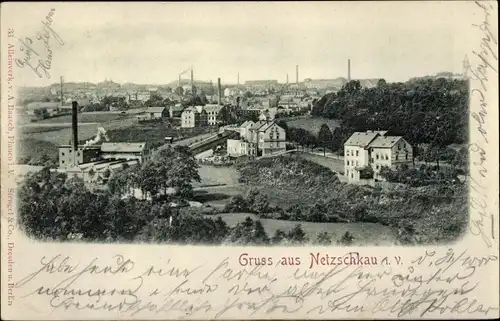 Relief Ak Netzschkau im Vogtland, Panorama