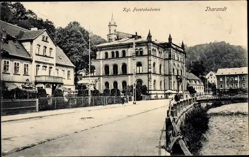 Ak Tharandt im Erzgebirge, Teilansicht mit Königl. Forstakademie