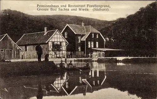Ak Grenze Bad Sachsa und Wieda Südharz, Pensionshaus und Restaurant Forellengrund