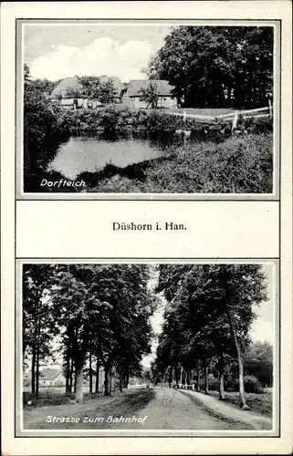 Ak Düshorn Walsrode im Heidekreis, Dorfteich, Straße zum Bahnhof