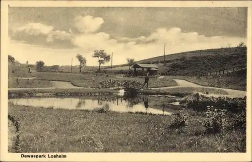Ak Losheim am See im Kreis Merzig Wadern, Dewespark