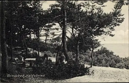 Ak Międzywodzie Heidebrink Dziwnów Dievenow Insel Wollin Pommern, Waldpartie