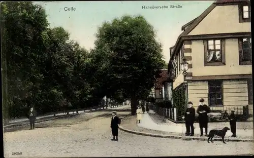 Ak Celle in Niedersachsen, Hannöversche Straße, Hund