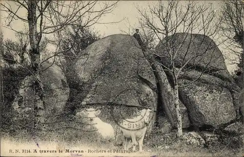 Ak Morvan Nièvre, A travers le Morvan, Rochers at Paturages