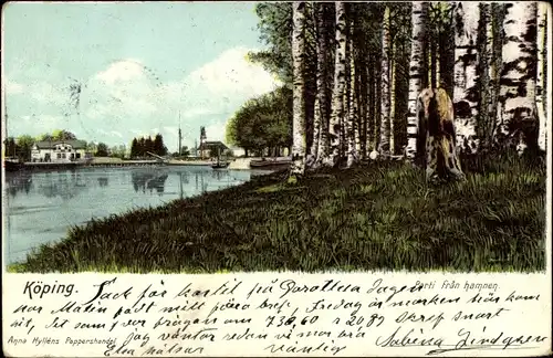 Ak Köping Schweden, Parti fran hamnen, Birken, Ufer