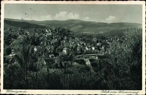 Ak Wernigerode am Harz, Blick vom Blumenweg