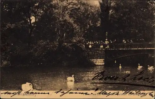 Ak Düsseldorf am Rhein, Partie an der Goldenen Brücke im Hofgarten