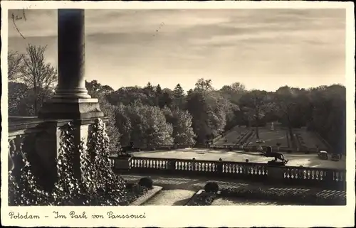 Ak Potsdam in Brandenburg, Park von Sanssouci