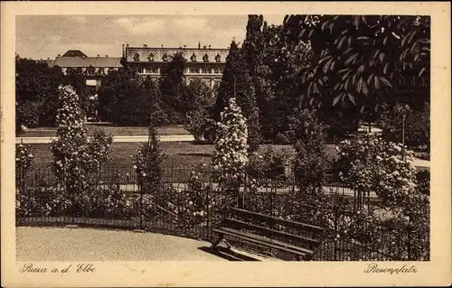 Ak Riesa an der Elbe Sachsen, Rosenplatz