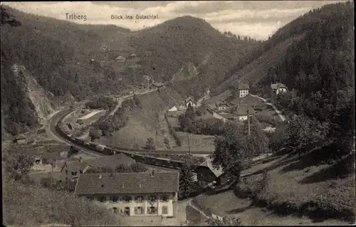 Ak Triberg im Schwarzwald, Blick ins Gutachtal, Ortsansicht