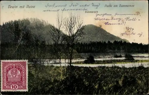 Ak Hamr na Jezeře Hammer am See Region Reichenberg, Hammersee, Hammerspitz, Dewin mit Ruine