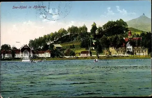 Ak Hammer am See Region Reichenberg, Blick auf das Seehotel