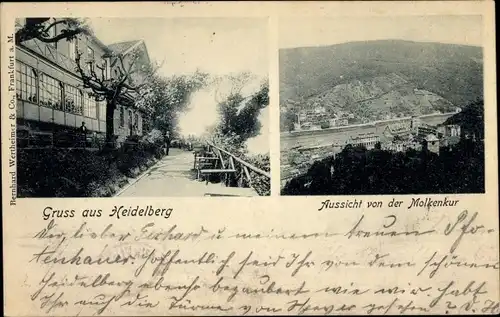 Ak Heidelberg am Neckar, Aussicht von der Molkenkur