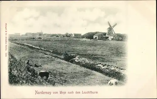 Ak Nordseebad Norderney Ostfriesland, Ort vom Wege nach dem Leuchtturm