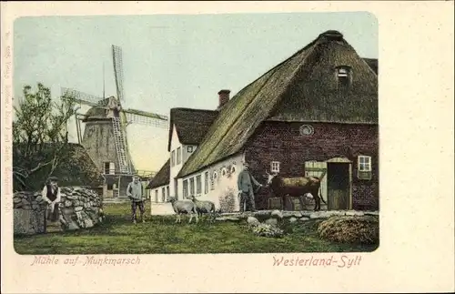 Ak Westerland auf Sylt, Mühle auf Munkmarsch