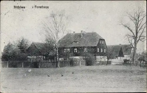 Ak Dresden Bühlau, Partie am Forsthaus