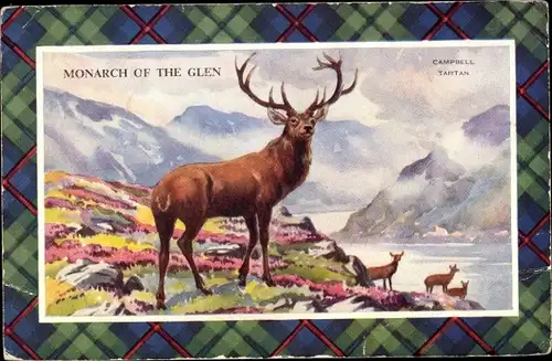 Passepartout Ak Schottland, Monarch of the Glen, Campbell Tartan, Hirsch
