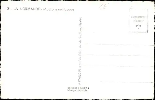 Ak Normandie, Moutons au Pacage, Schafherde