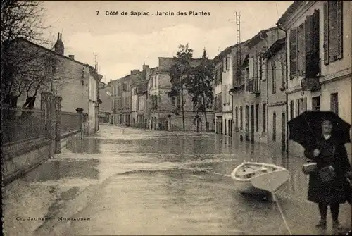 Ak Montauban Tarn et Garonne, Cote De Sapiac, Jardin des Plantes