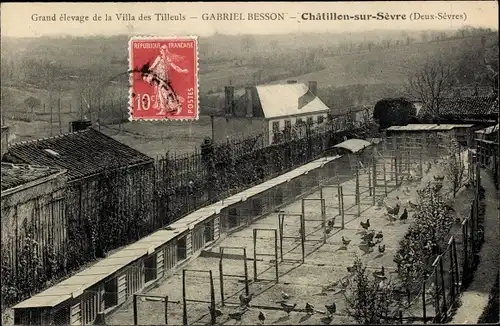 Ak Chatillon sur Sevre Deux Sèvres, Grand elevage de la Villa des Tilleuls