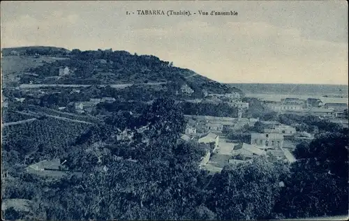 Ak Tabarca Tabarka Tunesien, Vue d'ensemble
